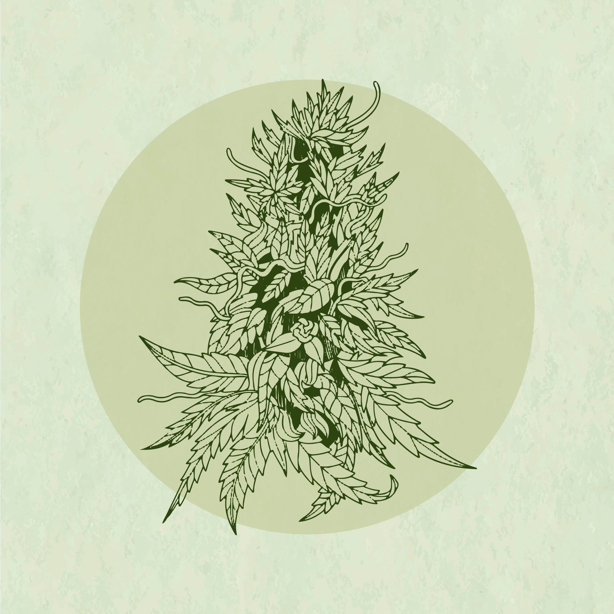 Hand in Bush