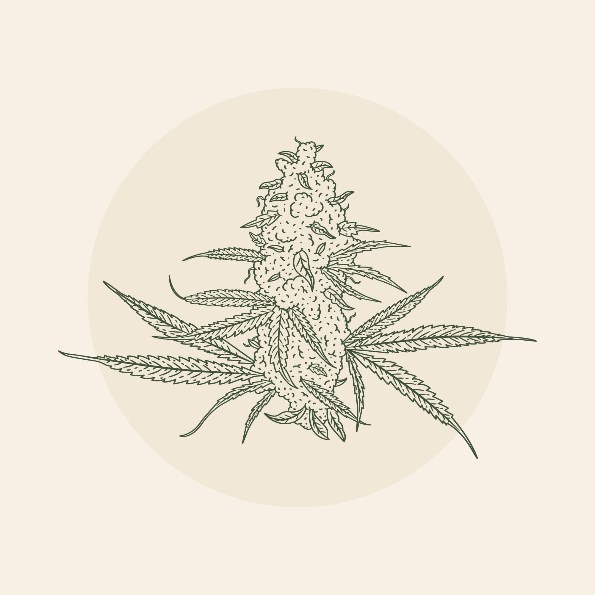 FUMI Dispensary