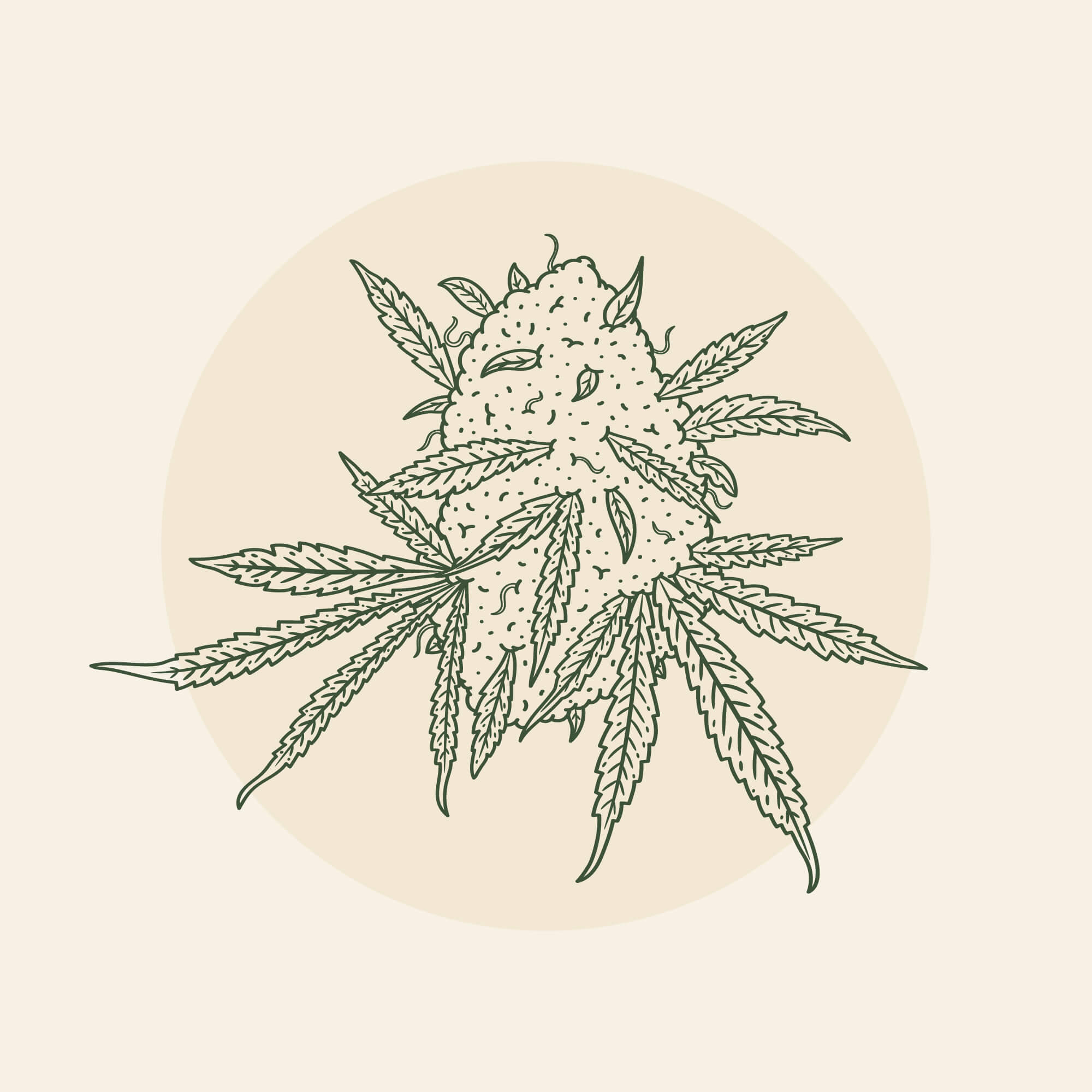 Smoking Scholars Dispensary