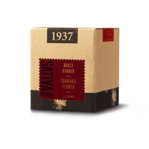 1937 - Bruce Banner