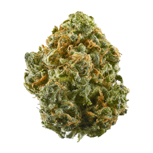 Blue Dream Shake
