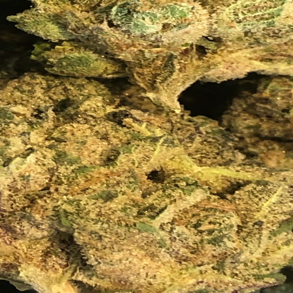First Class Funk #15