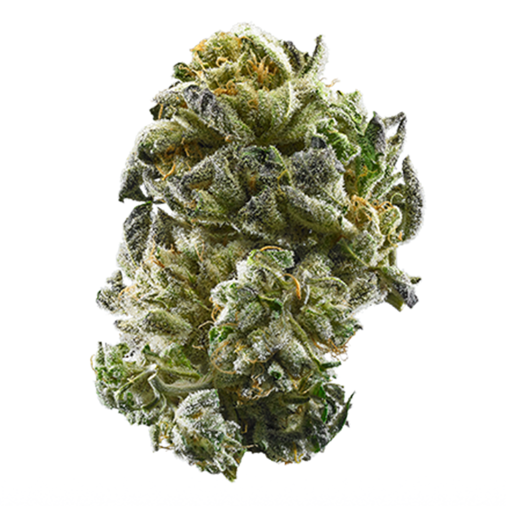 GSC (f.k.a. Girls Scout Cookies) Shake