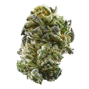 GSC (f.k.a. Girls Scout Cookies) Shake