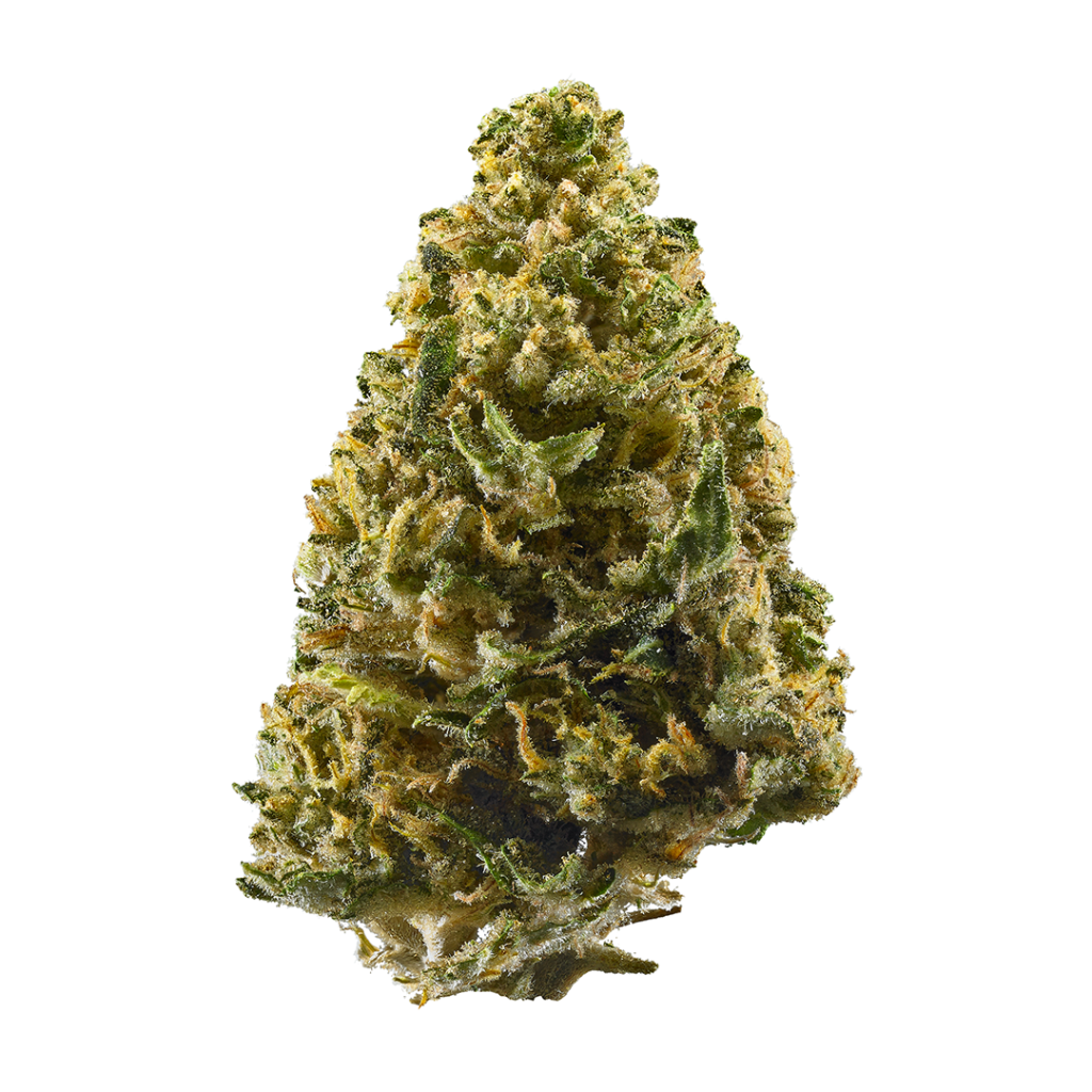 Northern Lights Shake