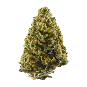 Northern Lights Shake