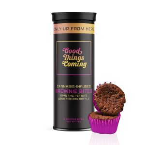 French Chocolate Brownies Low Dose
