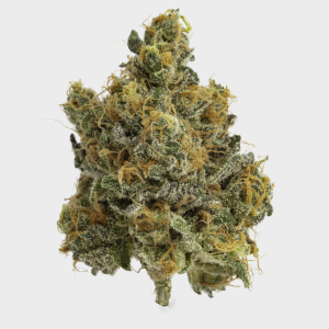 Badlands Gold