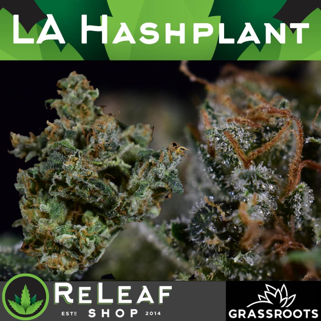 LA Hashplant