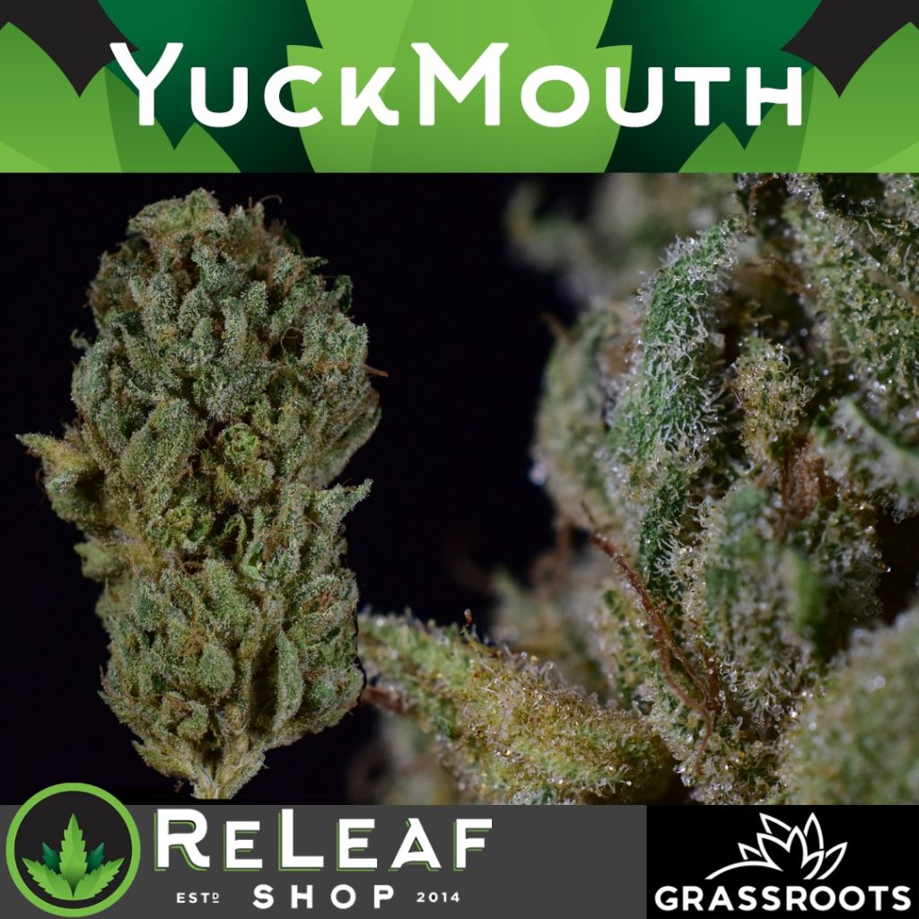 Yuck Mouth #4