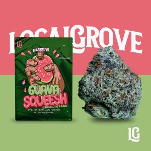 Guava Squeesh