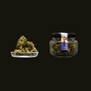 Purple Peyote Diesel