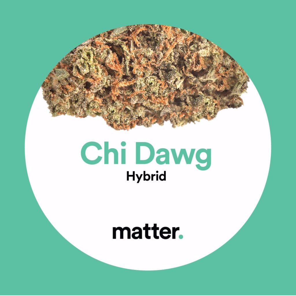 Chi Dawg