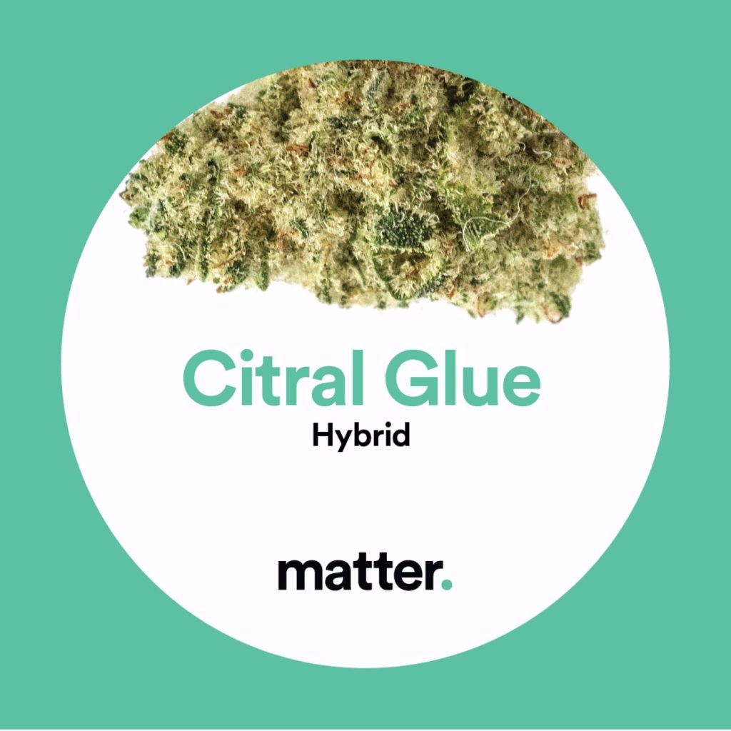 Citral Glue