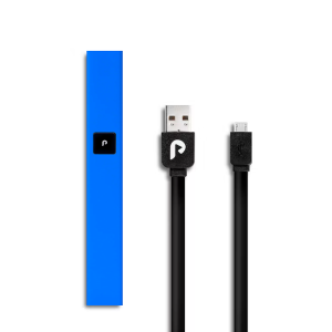 PLUGPLAY™ | PLAY™ Battery | California, Colorado, & New York | Steel | Blue Battery