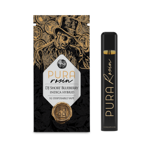 1g Rosin Disposable | DJ Short Blueberry