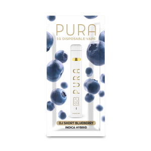 1g THC Disposable | DJ Short Blueberry