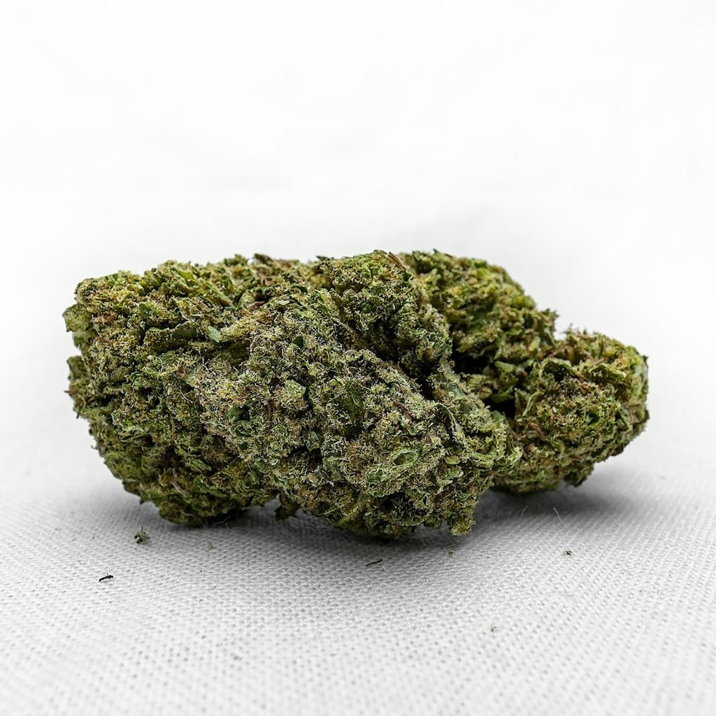 Blueberry Cookies