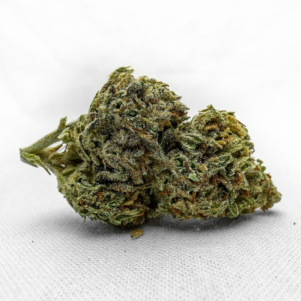C99 x Blueberry