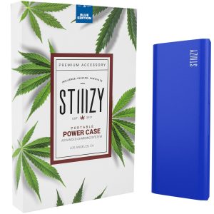 BLUE PORTABLE POWER CASE