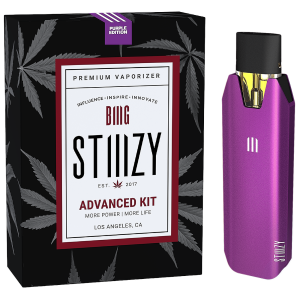 STIIIZY BIIIG Starter Kit - Purple