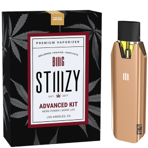 STIIIZY BIIIG Starter Kit - Rose Gold